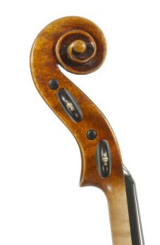 Guadagnini Violin Scroll